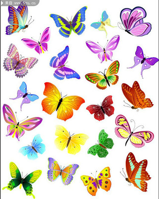 彩绘蝴蝶图案素材